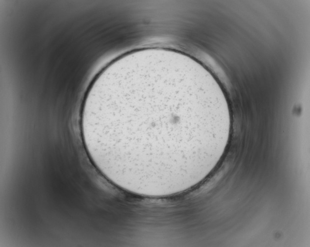 X0000102861336200809151202