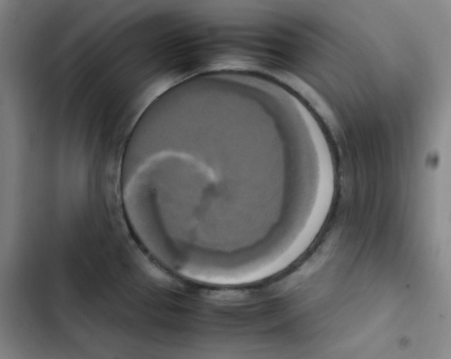 X0000102861337200809151202