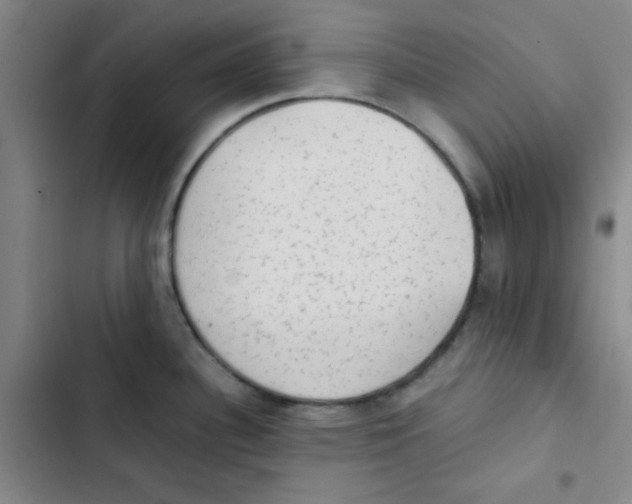 X0000102861340200809151202