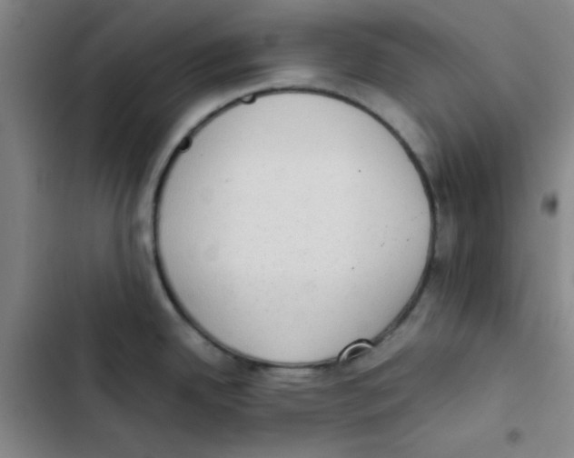 X0000102861342200809151202