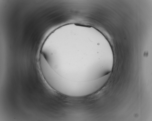 X0000102861344200809151202