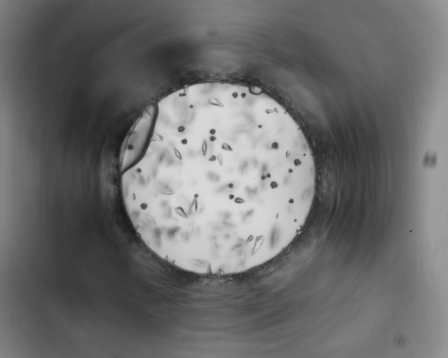 X0000102861346200809151201