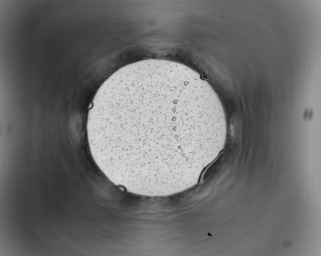 X0000102861347200809151201