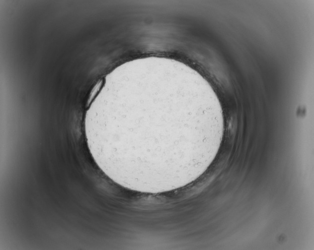 X0000102861348200809151201