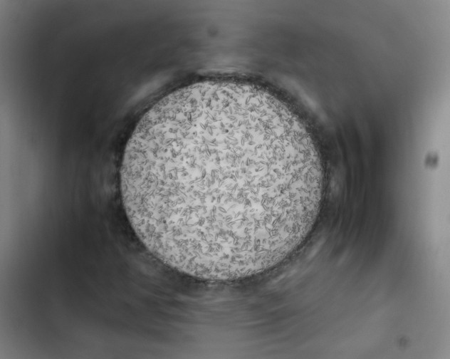 X0000102861350200809151201