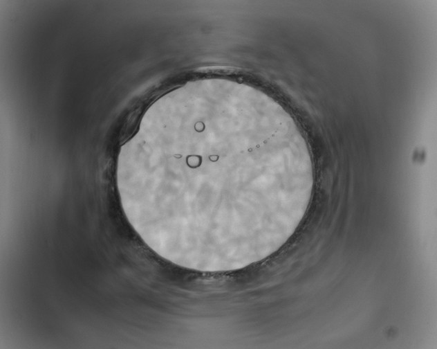 X0000102861351200809151201