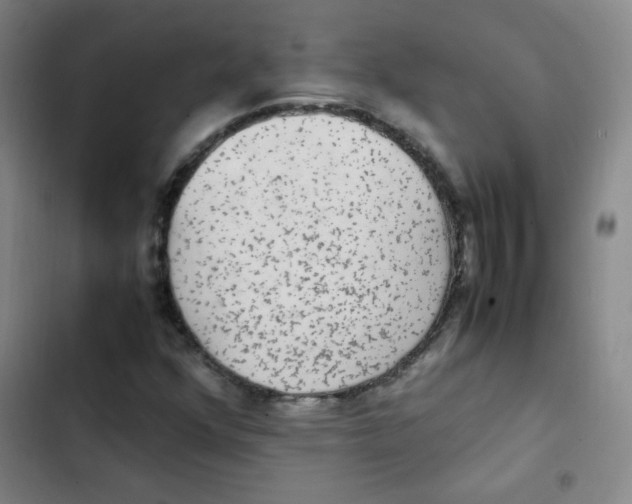 X0000102861352200809151201