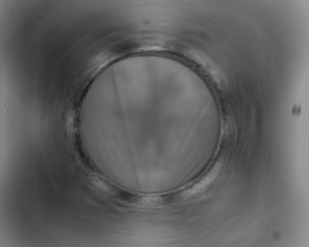 X0000102861353200809151201