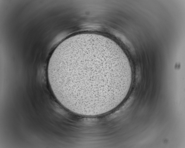 X0000102861354200809151201