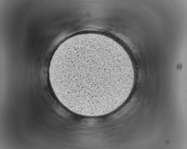 X0000102861355200809151201