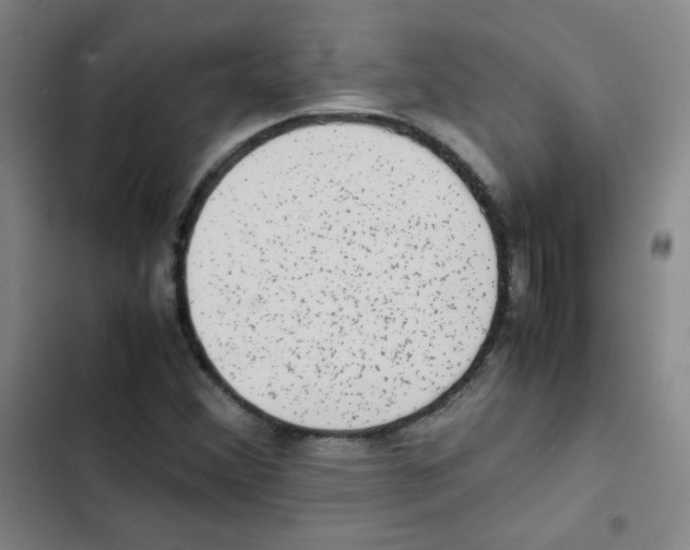 X0000102861356200809151201