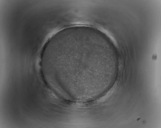 X0000102861357200809151201