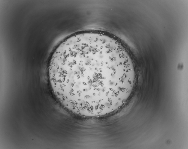 X0000102861358200809151201