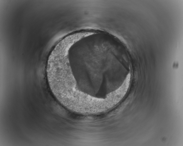 X0000102861359200809151201