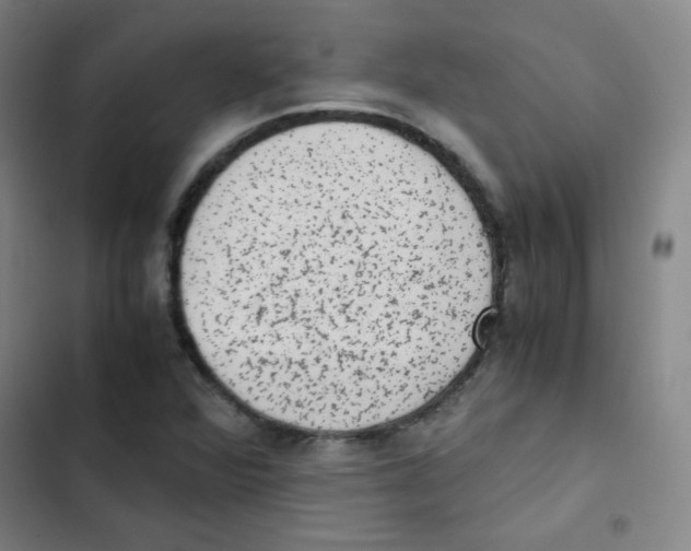 X0000102861360200809151201