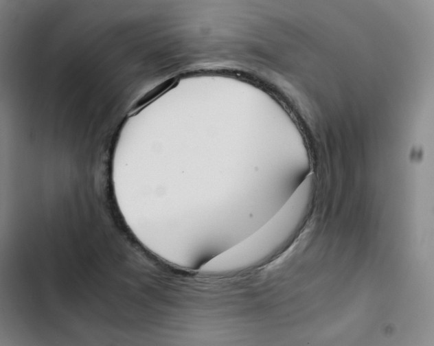 X0000102861361200809151201