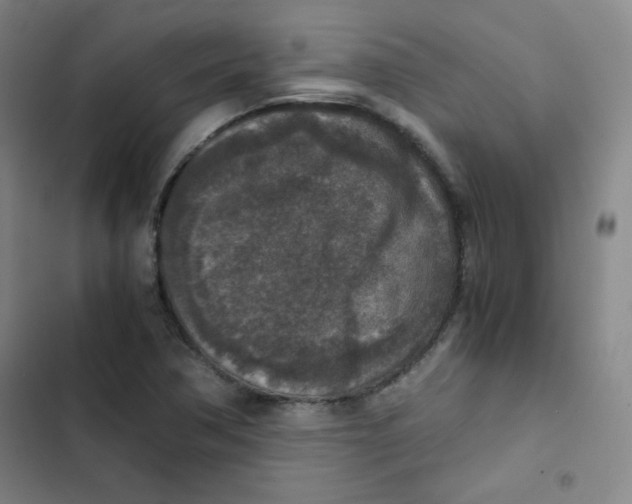 X0000102861362200809151201