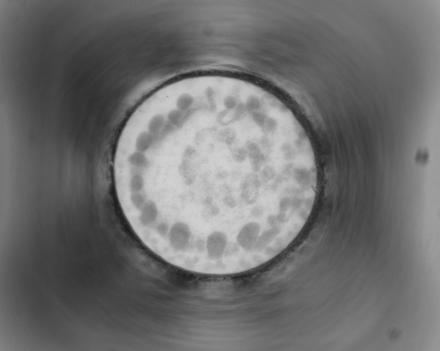 X0000102861363200809151201