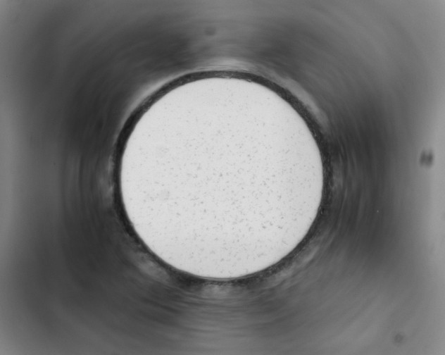 X0000102861364200809151201