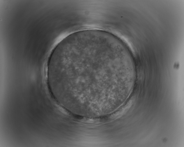 X0000102861365200809151201