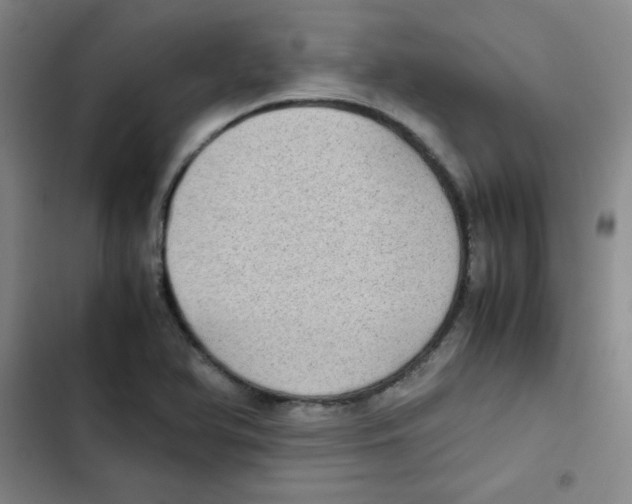 X0000102861366200809151201