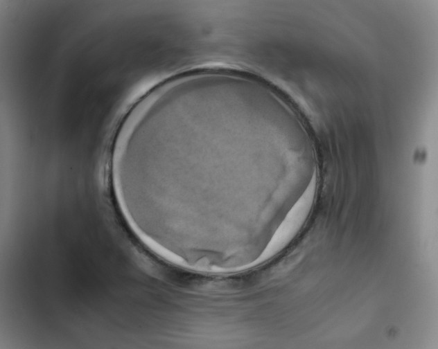 X0000102861367200809151201