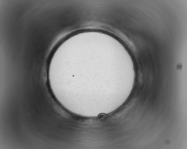 X0000102861368200809151201