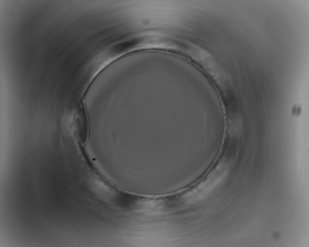 X0000102861369200809151201