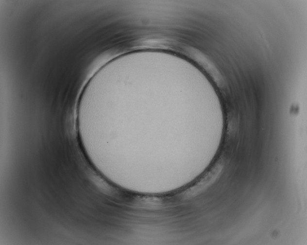 X0000102861370200809151201