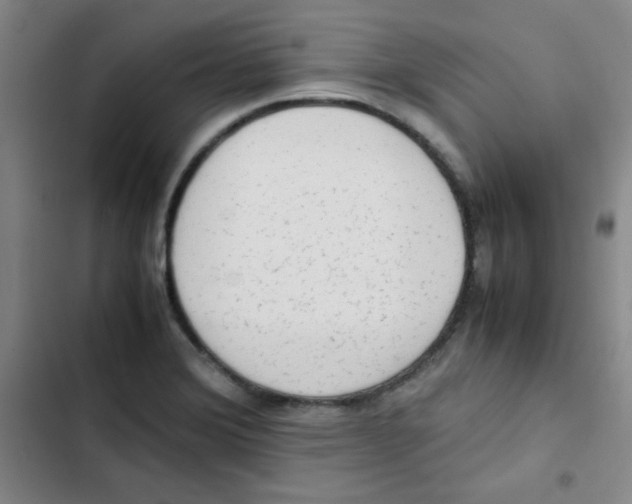 X0000102861372200809151201