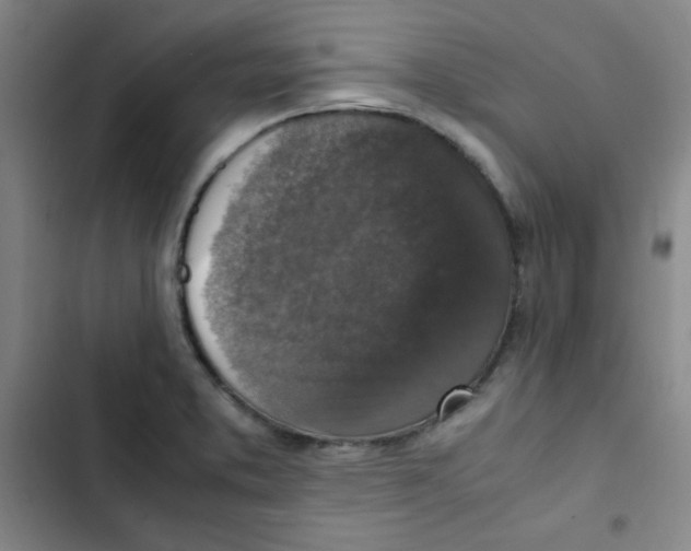 X0000102861373200809151201