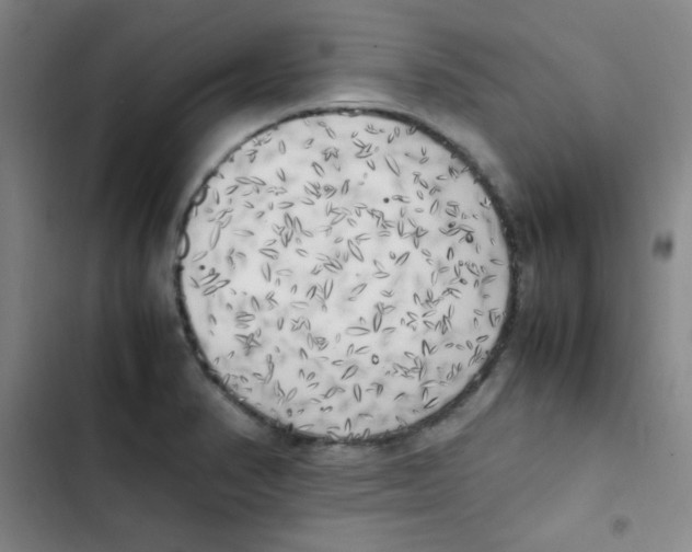 X0000102861374200809151201