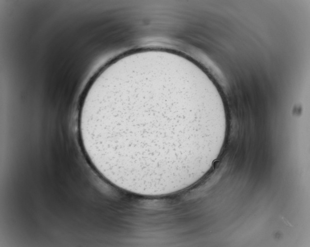 X0000102861376200809151201