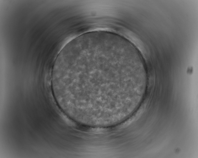 X0000102861377200809151201