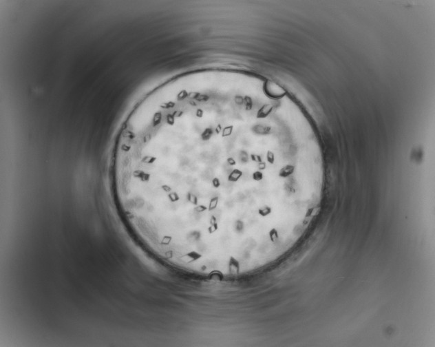 X0000102861379200809151201