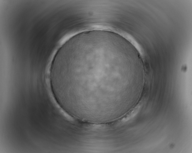 X0000102861381200809151201