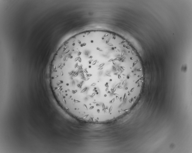 X0000102861382200809151201