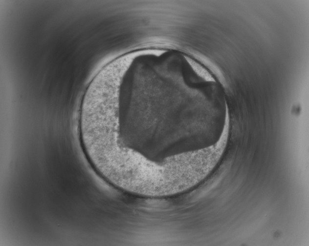 X0000102861383200809151200