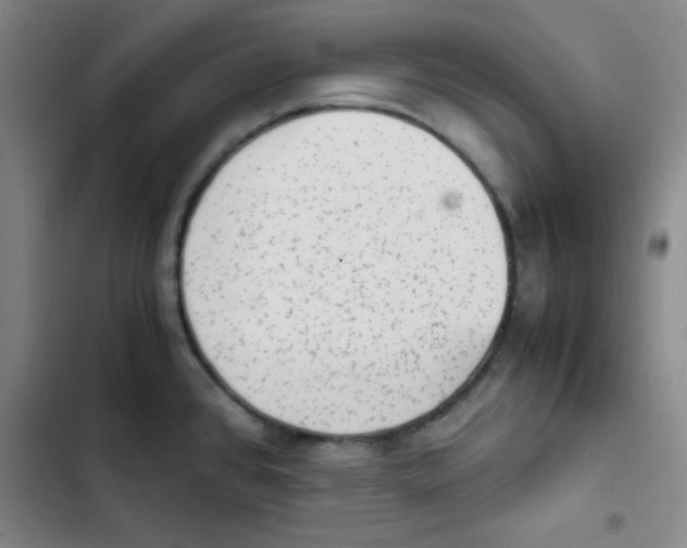 X0000102861384200809151200