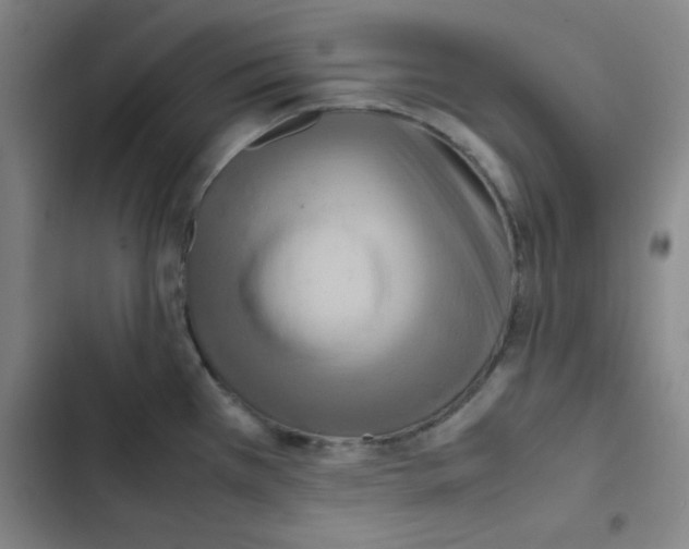 X0000102861385200809151200