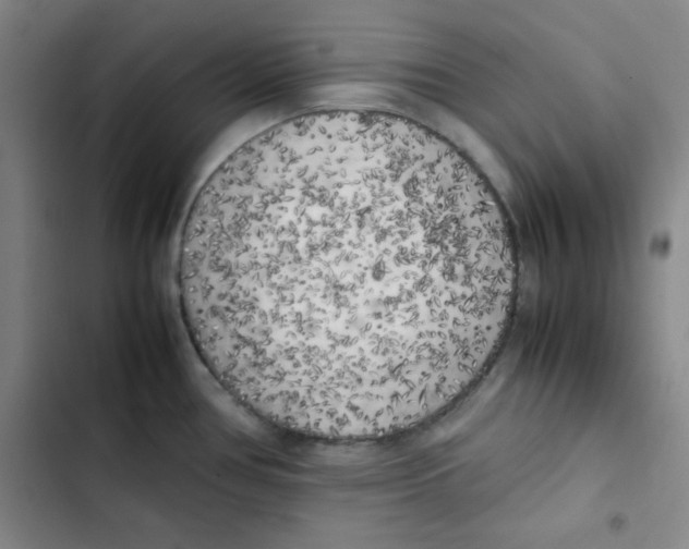 X0000102861386200809151200