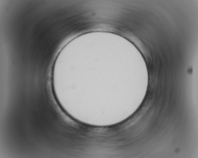 X0000102861387200809151200