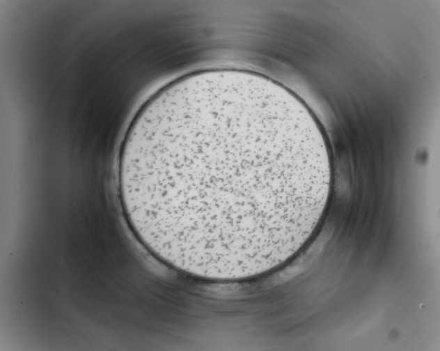 X0000102861388200809151200