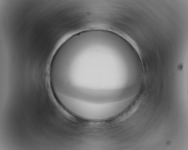 X0000102861389200809151200