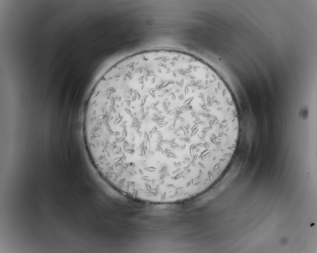 X0000102861390200809151200