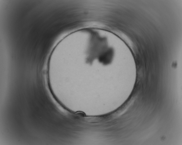 X0000102861391200809151200