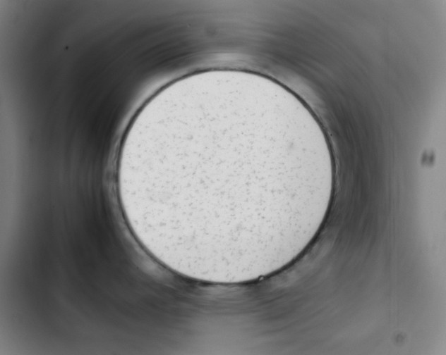 X0000102861392200809151200