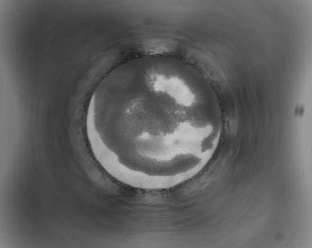 X0000102861393200809151159