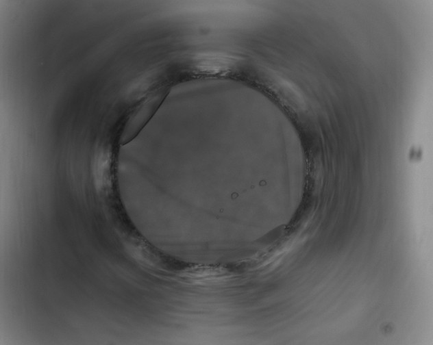 X0000102861394200809151159