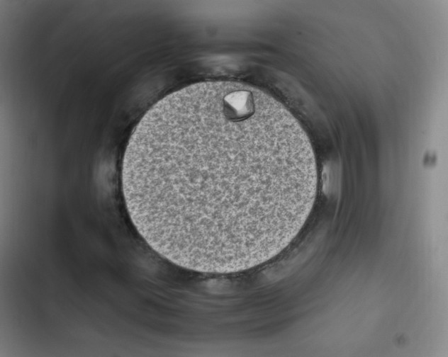 X0000102861395200809151159